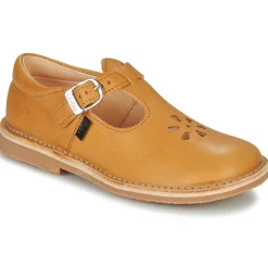 Aster - DINGO Jaune Best