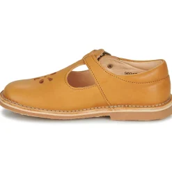 Aster - DINGO Jaune Best