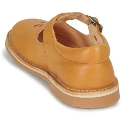 Aster - DINGO Jaune Best