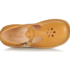 Aster - DINGO Jaune Best