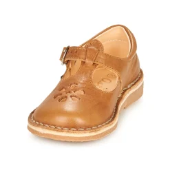 Aster - DINGO Camel Outlet