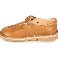 Aster - DINGO Camel Outlet