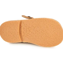 Aster - DINGO Camel Outlet