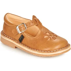 Aster - DINGO Camel New