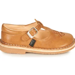 Aster - DINGO Camel New