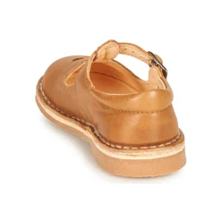 Aster - DINGO Camel New