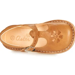 Aster - DINGO Camel New