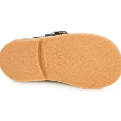 Outlet Aster - DINGO Marine