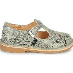 New Aster - DINGO-2 Doré