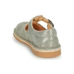 New Aster - DINGO-2 Doré