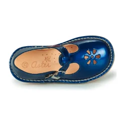 Sale Aster - DINGO Bleu