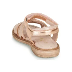 Aster - TAWA Rose Hot