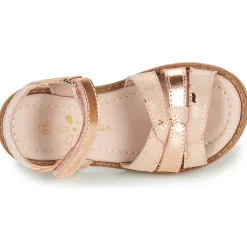 Aster - TAWA Rose Hot