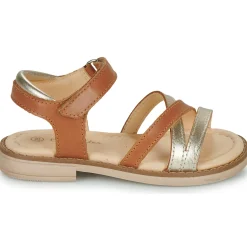 Aster - TESSIA Cognac Clearance