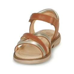 Aster - TESSIA Cognac Clearance