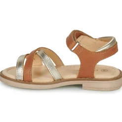 Aster - TESSIA Cognac Clearance