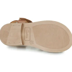 Aster - TESSIA Cognac Clearance