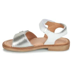 Online Aster - TRIXY Argenté