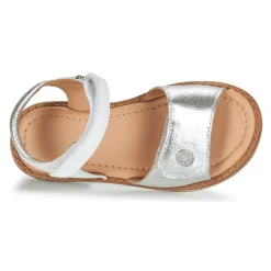 Online Aster - TRIXY Argenté