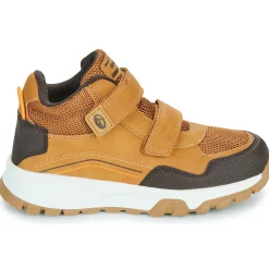 BEPPI - 2202041-CAMEL