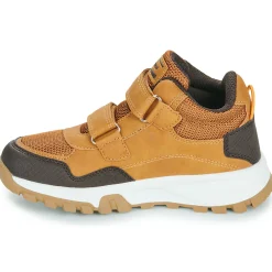 BEPPI - 2202041-CAMEL