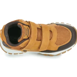 BEPPI - 2202041-CAMEL