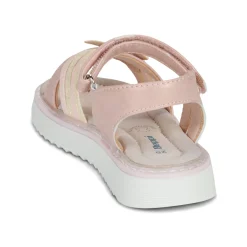 BEPPI - 2203880-ROSA Rose