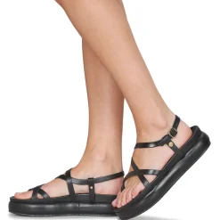 Betty London - AGNES Noir Hot