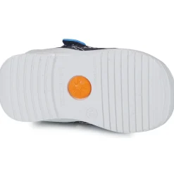 Biomecanics - 232188