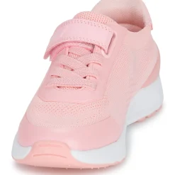 Biomecanics - BIOEVOLUTION NONSTOP