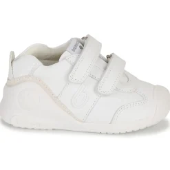 Biomecanics - BIOGATEO SPORT