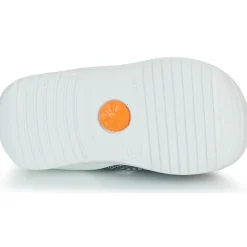 Biomecanics - PABLO Bleu