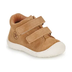 Online Bisgaard - HALE V Cognac