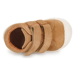 Online Bisgaard - HALE V Cognac