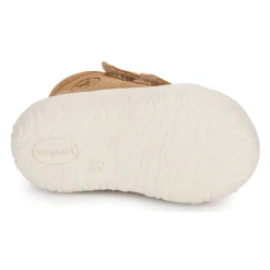 Online Bisgaard - HALE V Cognac