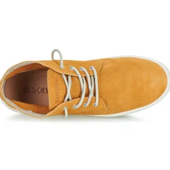 Blackstone - BG148 Camel Hot