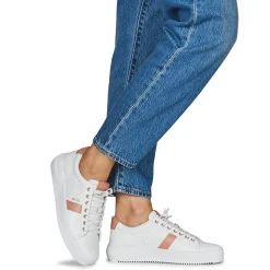 Online Blackstone - BL220