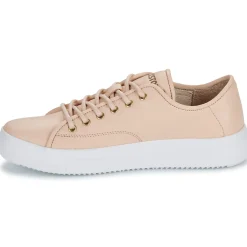 Blackstone - BL234 Rose Outlet