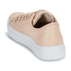 Blackstone - BL234 Rose Outlet