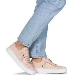 Blackstone - BL234 Rose Outlet