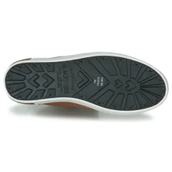 Hot Blackstone - CUWU Marron