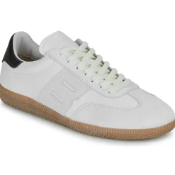 Clearance Blackstone - LIME WREN