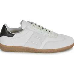 Clearance Blackstone - LIME WREN