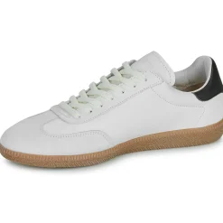 Clearance Blackstone - LIME WREN