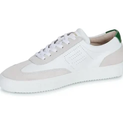 Blackstone - SLATE HARPER PERF