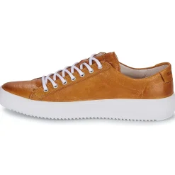 New Blackstone - ZG18 Camel