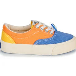 Bonton - SKATE ELAST Multicolore New