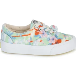 Bonton - SKATE ELAST Multicolore Online