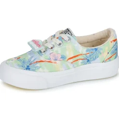 Bonton - SKATE ELAST Multicolore Online