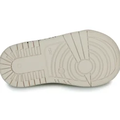 Hot Bopy - RELAXA Rose